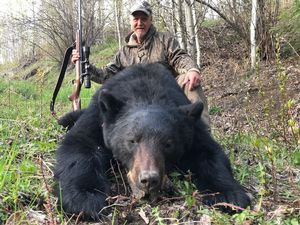 Bear Hunts In Canada